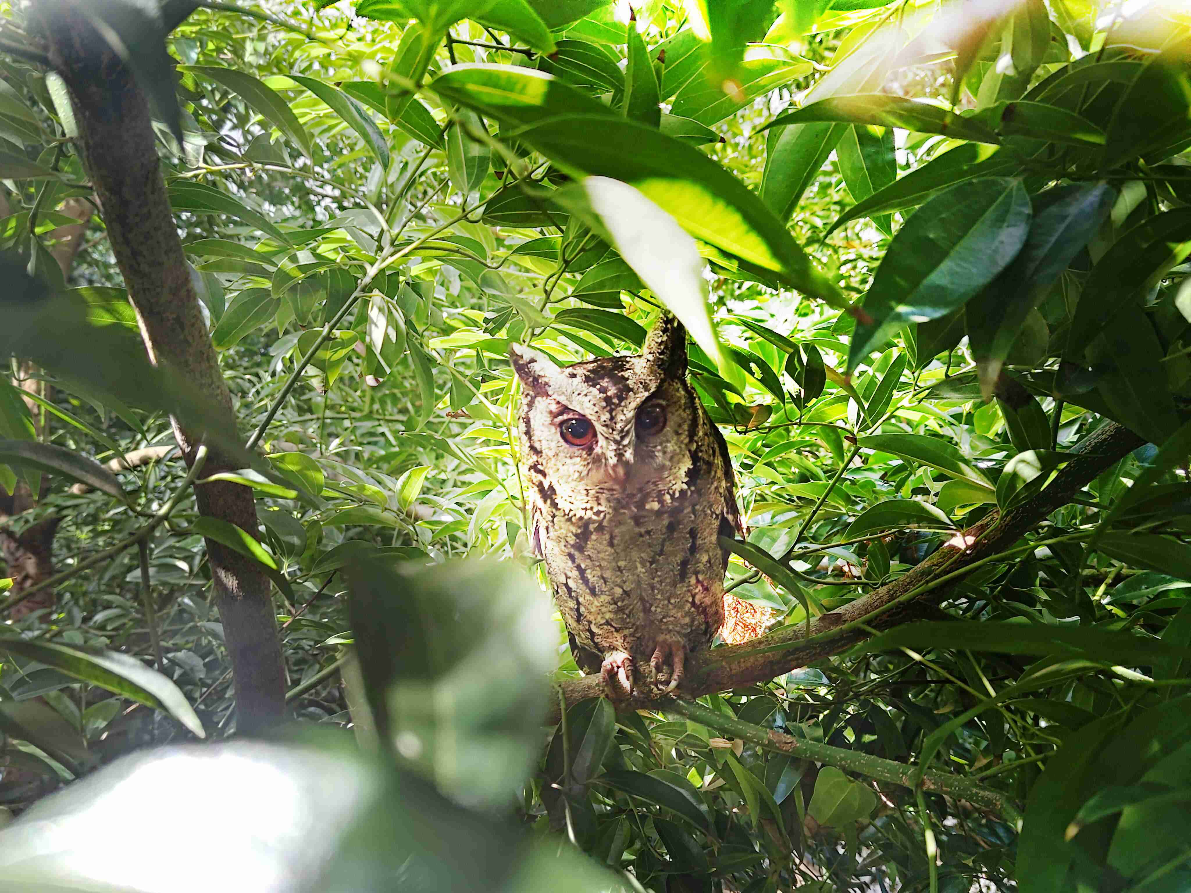 YAXIN111致力提倡净零绿生活，，，16年以来在全球各厂区植树逾百万棵，，，造就各厂区树木蔚然成林，，犹如森林工厂，，成为许多生物的栖息地